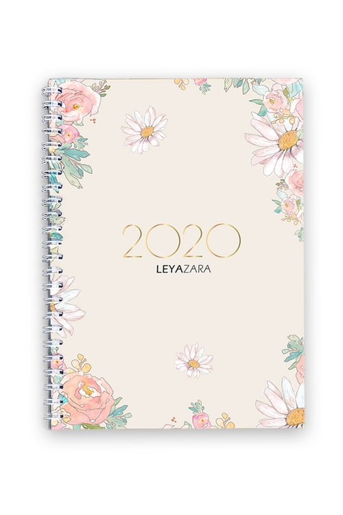 LZ 2020 Notebook